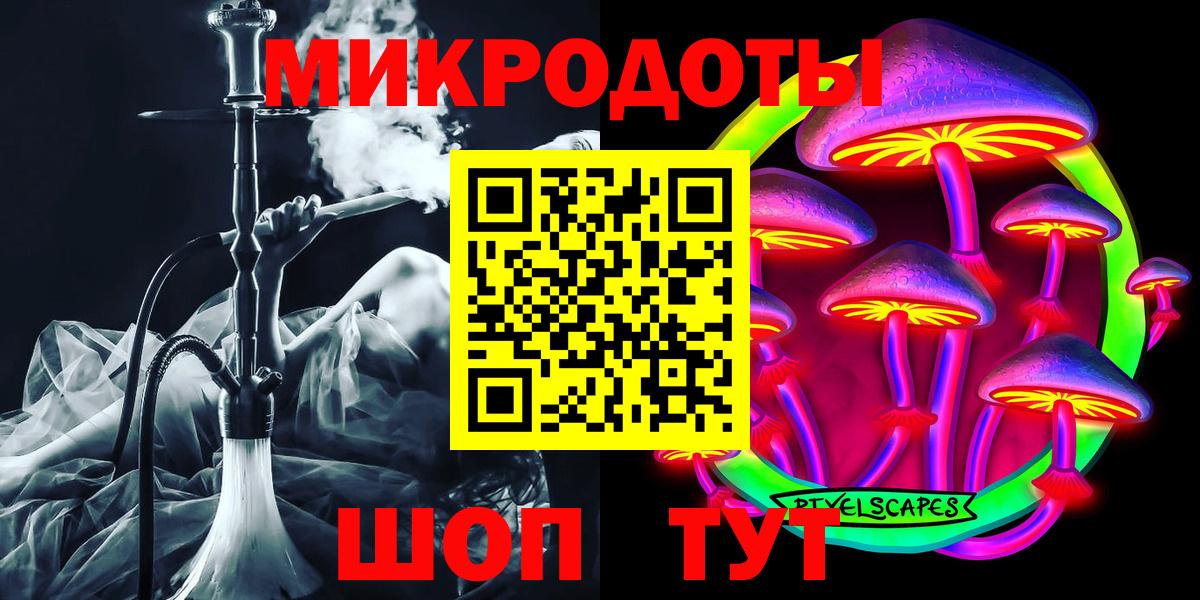 купить наркотики цена  Псилоцибиновые грибы Psilocybe  Вход с VPN  Новотроицк 
